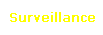 Cityveille s&eacute;curit&eacute;